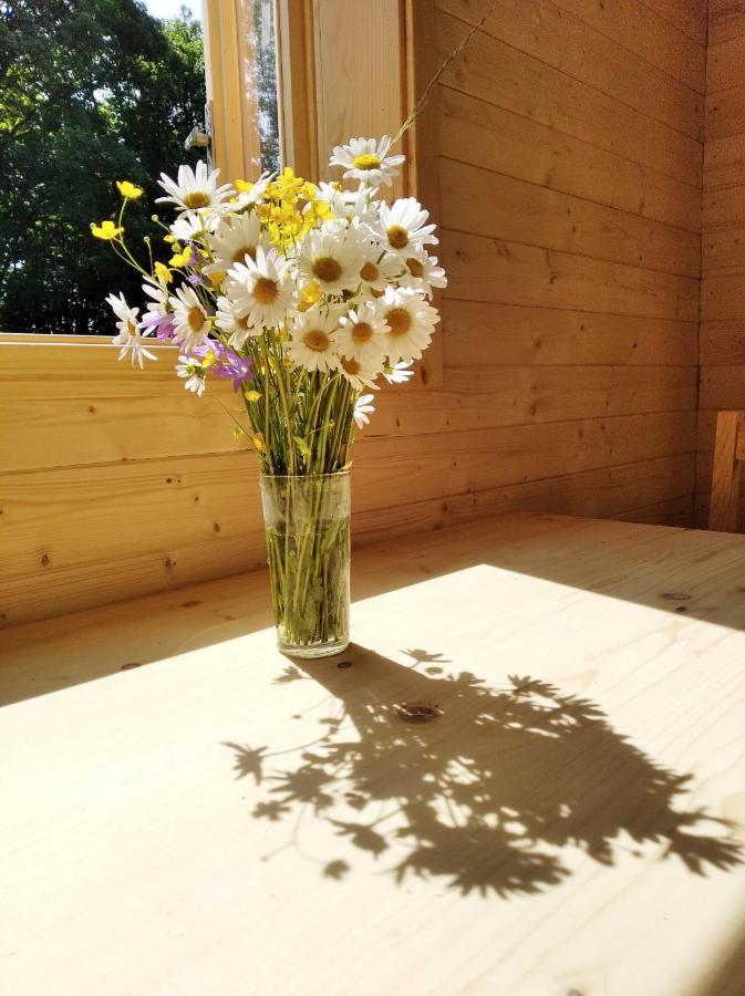 VýprachticeCelorocni Glamping V Pohodlnem Domecku别墅 外观 照片