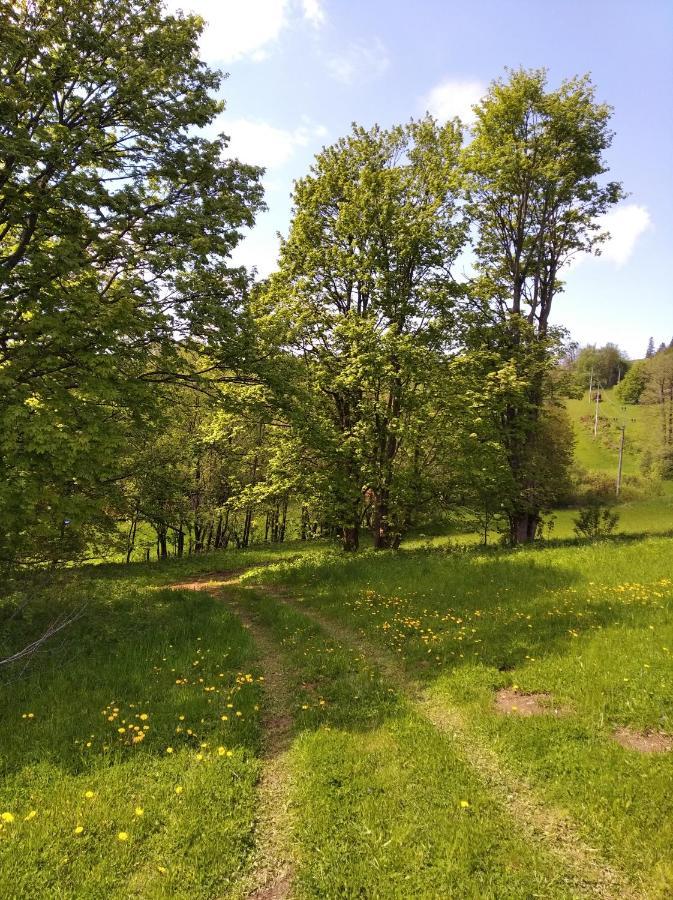 VýprachticeCelorocni Glamping V Pohodlnem Domecku别墅 外观 照片