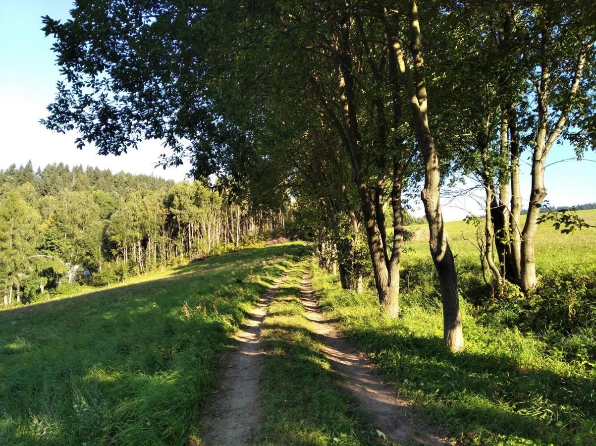 VýprachticeCelorocni Glamping V Pohodlnem Domecku别墅 外观 照片