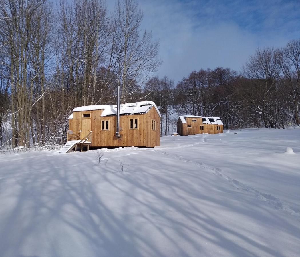 VýprachticeCelorocni Glamping V Pohodlnem Domecku别墅 外观 照片
